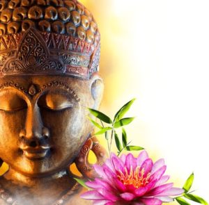Buddha Weisheiten und Orchideen